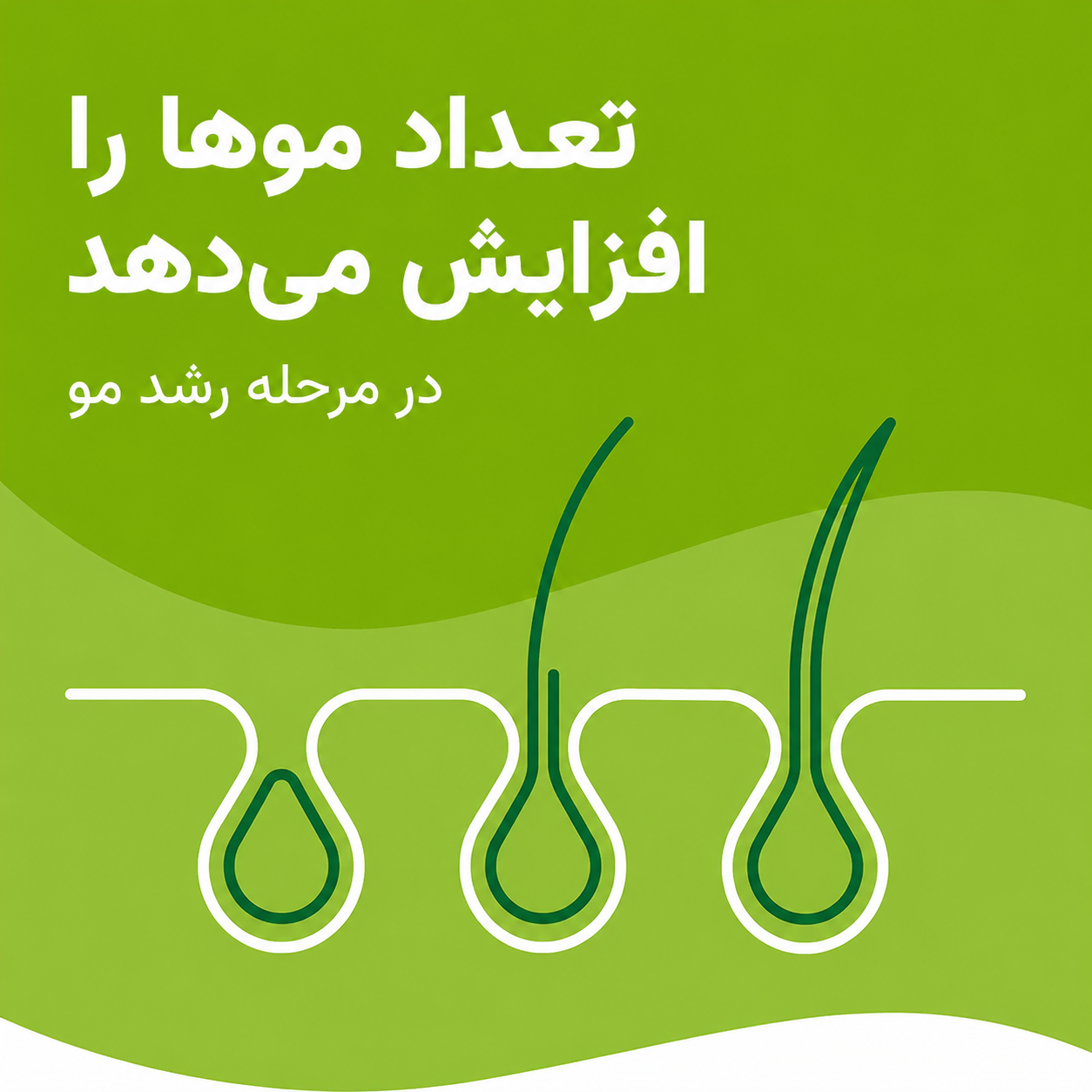 خرید قرص پریورین
